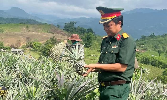 Cán bộ Quân đội cùng tham gia thu hoạch dứa cùng bà con ở xã biên giới. Ảnh: Quốc Huy