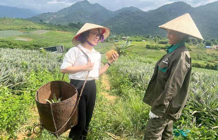 Niềm vui thu hoạch dứa trên vùng biên giới Nghệ An. Ảnh: Quốc Huy