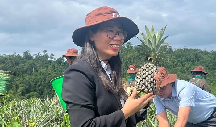 Bà Nguyễn Thị Trang thành viên của Ban điều hành Nafoods Group vui mừng trong vụ thu hoạch dứa đầu tiên ở mảnh đất Tri Lễ. Ảnh: Quốc Huy