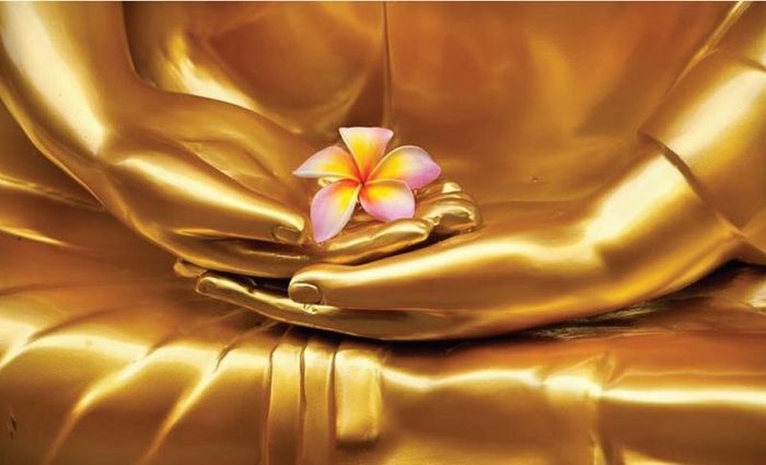 Ảnh: Sưu tầm