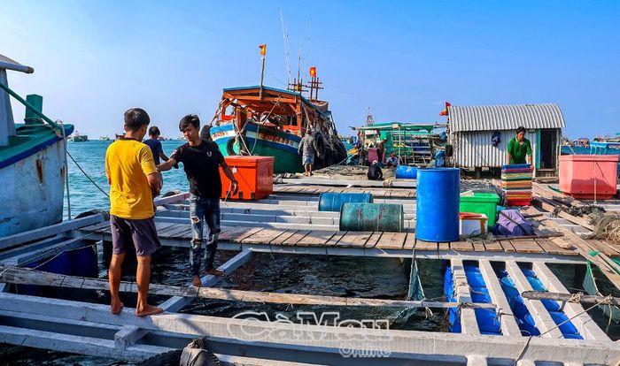 Cà Mau đang phát triển nghề nuôi hải sản trên biển. (Ảnh chụp tại Hòn Chuối, Ấp 1, xã Sông Ðốc).