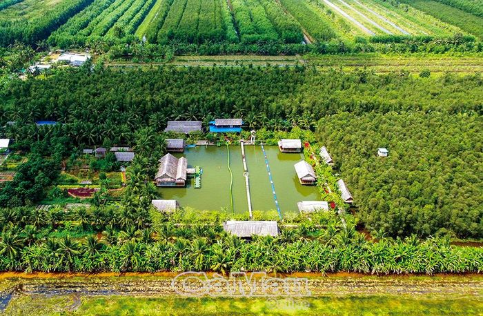 Hệ sinh thái rừng của Vườn Quốc gia U Minh Hạ được khai thác, xây dựng mô hình du lịch cộng đồng.