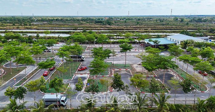  Kỳ sát hạch được tổ chức tại Trung tâm Đào tạo và Sát hạch lái xe Cà Mau (Xã Lương Thế Trân).