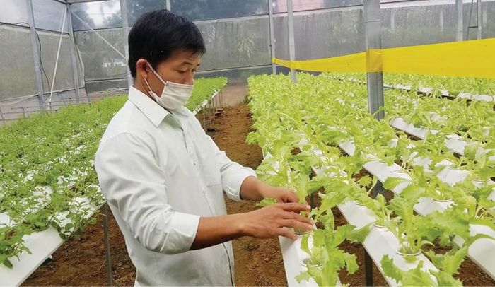 Nghị định số 263/2026/NĐ-CP quy định nhiều chính sách ưu đãi, hỗ trợ đối với các dự án đầu tư trong khu nông nghiệp ứng dụng công nghệ cao.