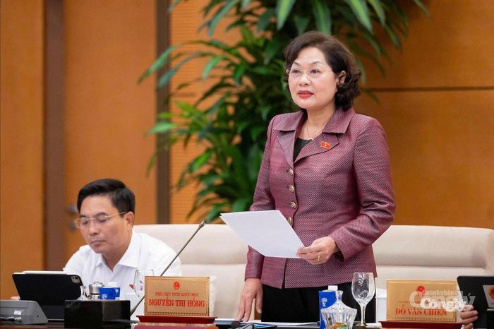 Phó Chủ tịch Quốc hội Nguyễn Thị Hồng phát biểu kết luận nội dung làm việc
