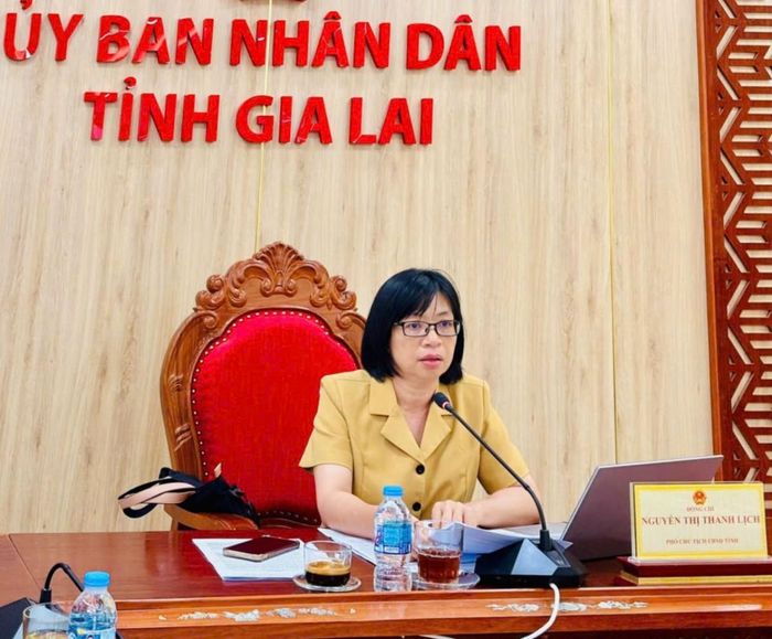  Bà Nguyễn Thị Thanh Lịch Phó Chủ tịch UBND tỉnh phát biểu chỉ đạo. 