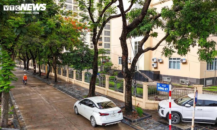 Hạ tầng giao thông nội khu hoàn thiện từ nhiều năm trước, đồng thời khu vực có nhiều tuyến xe buýt hoạt động, tạo điều kiện thuận lợi cho việc đi lại.