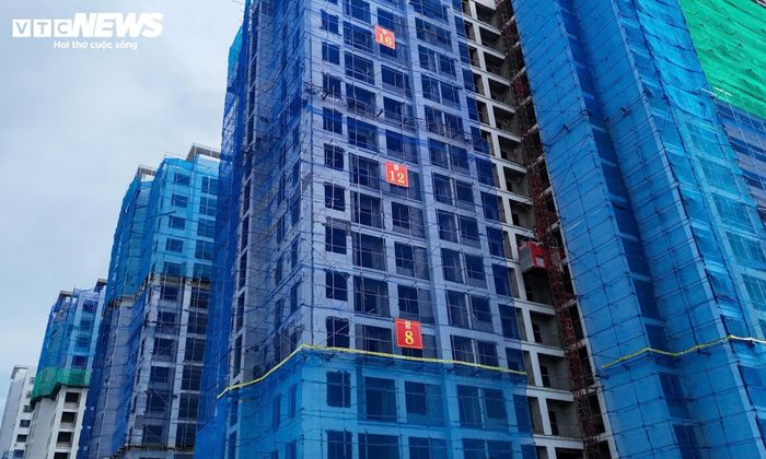 Đây là dự án do Ban Quản lý dự án đầu tư xây dựng công trình dân dụng TP Hà Nội làm chủ đầu tư, triển khai tại các đơn nguyên A2, A3, A4 thuộc ô đất III.13.1, quỹ đất 20% của khu đô thị mới Pháp Vân - Tứ Hiệp.