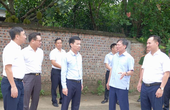 Phó Chủ tịch UBND thành phố Hà Nội Bùi Duy Cường kiểm tra thực địa đất nông trường chè tại xã Phú Cát. Ảnh: Tùng Nguyễn. 