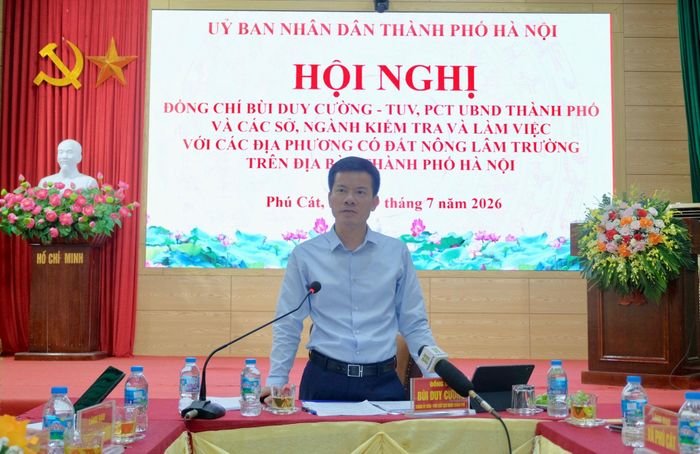 Phó Chủ tịch UBND thành phố Hà Nội Bùi Duy Cường phát biểu tại cuộc làm việc. Ảnh: Tùng Nguyễn