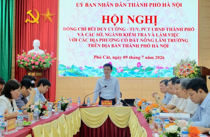Phó Chủ tịch UBND thành phố Hà Nội Bùi Duy Cường chủ trì cuộc làm việc với đại diện các xã, phường và tổ chức, doanh nghiệp sử dụng đất nông, lâm trường. Ảnh: Tùng Nguyễn