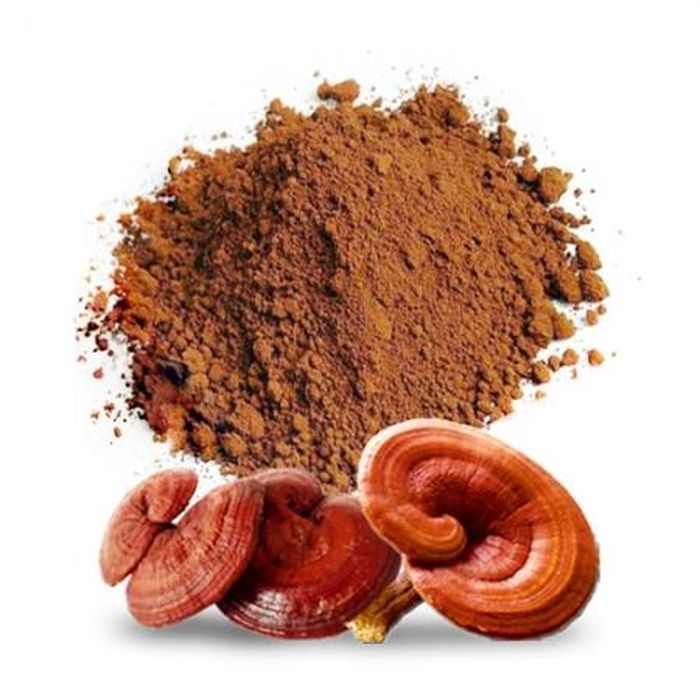 Ngoài dạng sắc truyền thống, nấm linh chi còn được sử dụng dưới dạng bột hoặc chiết xuất, mang lại sự tiện lợi hơn trong quá trình sử dụng.