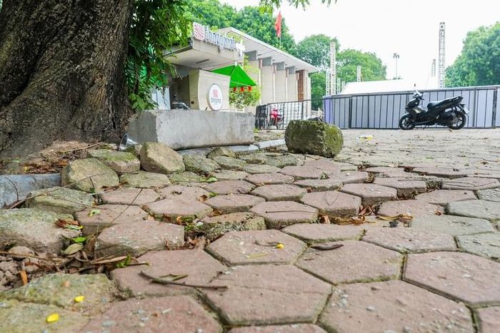 Sau nhiều năm đưa vào sử dụng, một số đoạn vỉa hè sử dụng gạch block đã hư hỏng, xuống cấp gây mất mỹ quan đô thị.Quá trình cải tạo, chỉnh trang những cây bóng mát, cây cảnh ảnh hưởng đến quy hoạch quảng trường sẽ được đánh chuyển đến vị trí phù hợp.