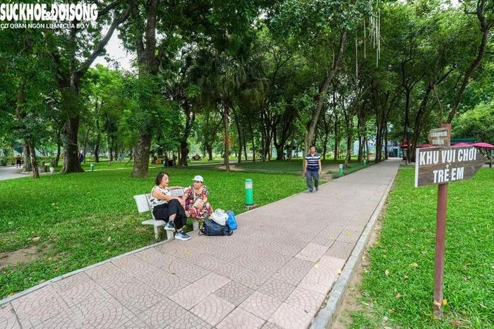 Cây xanh, tiểu cảnh được trồng khu vực hè đường Trần Nhân Tông, Công viên Thống Nhất.