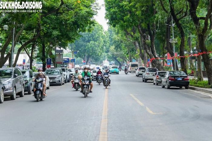 Một trong các điểm nhấn của dự án là xây dựng quảng trường phố đi bộ Trần Nhân Tông nhằm cụ thể hóa đồ án thiết kế đô thị khu vực quanh hồ Thiền Quang.