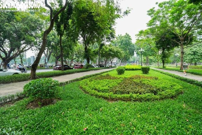 Theo kế hoạch, khu vực hè phố Trần Nhân Tông và cổng Công viên Thống Nhất sẽ được cải tạo, chỉnh trang và dự kiến hoàn thành cuối năm 2026.