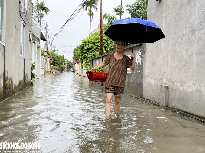 Các ngõ nhỏ trong khu dân cư cũng rơi vào tình trạng ngập sâu. Ảnh: TD