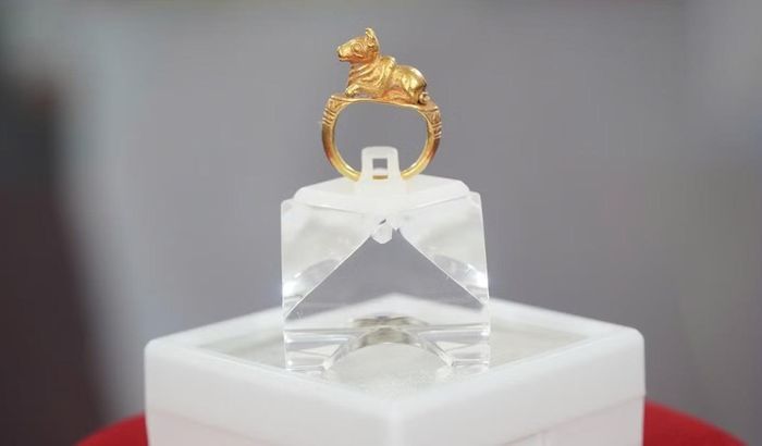  Nhẫn Nandin bằng vàng, niên đại thế kỷ V, được phát hiện năm 2018. Ảnh: Nhật Huy. 
