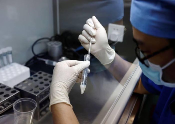  IVF là một trong những phương pháp hỗ trợ sinh sản phổ biến hiện nay. Ảnh: Reuters. 