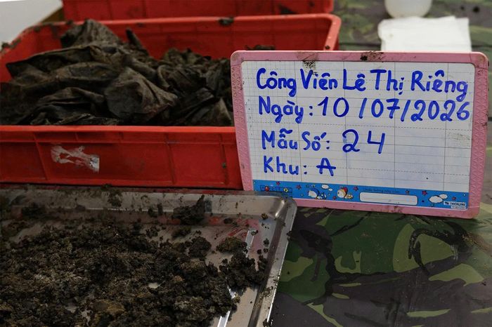  Đến nay, lực lượng chức năng đã tìm thấy 16 hài cốt cùng nhiều di vật như tăng võng, cúc áo, lược, băng đạn, mảnh vải và các vật dụng cá nhân. Toàn bộ hài cốt, di vật được thu thập, bảo quản theo đúng quy trình để phục vụ công tác giám định, xác minh thông tin và đối chiếu ADN, hướng đến mục tiêu xác định danh tính các liệt sĩ. 