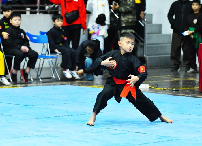 Cần một cái nhìn thực tế hơn về việc chuyển hóa di sản võ thuật cổ truyền thành sản phẩm...