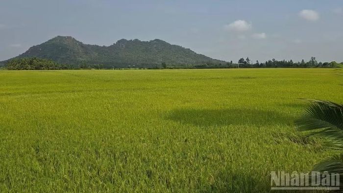 Núi Ba Thê nơi gắn với quần thể Khu di tích khảo cổ Óc Eo-Ba Thê.