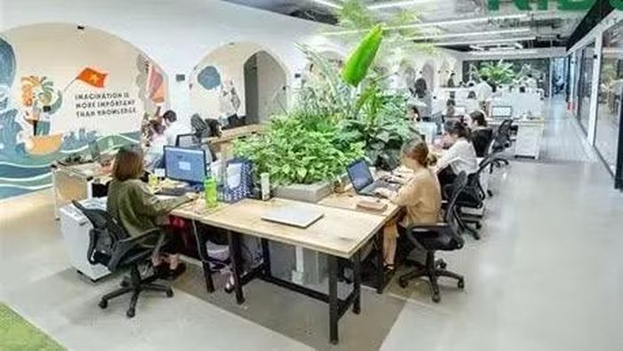 Xu hướng văn phòng xanh trở nên phổ biến hiện nay.