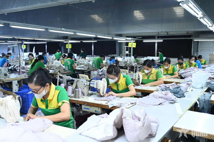 Sản xuất hàng may mặc xuất khẩu tại Công ty TNHH MTV X20 Thái Nguyên (Công ty Cổ phần X20). Ảnh: ĐỨC HIẾU