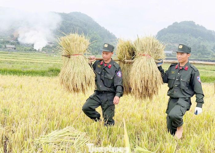 Dù thời tiết nắng mưa thất thường, các đoàn viên, chiến sĩ vẫn hăng hái lao động cùng bà con.
