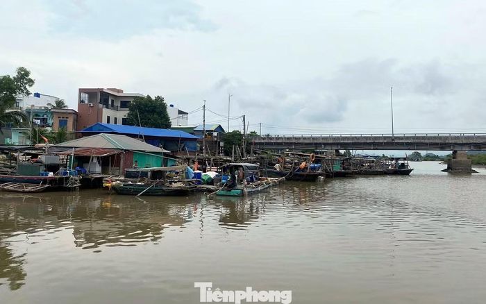 Những ngày cuối tháng 6 và đầu tháng 7, khu vực cầu Phù Long (Đặc khu Cát Hải, TP Hải Phòng) xuất hiện tình trạng cá song nuôi lồng của các hộ dân chết đồng loạt, nổi trắng mặt nước khiến các ngư dân thiệt hại nặng nề.