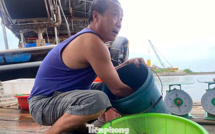 Ông Nguyễn Văn Hưng (64 tuổi) cho biết, gia đình ông và một số hộ dân địa phương bám biển đánh bắt thủy sản mưu sinh. Hằng ngày mỗi chuyến đi biển về cá to thì bán, cá nhỏ thì ông và một số hộ mua gom, thả lồng để tiếp tục nuôi.