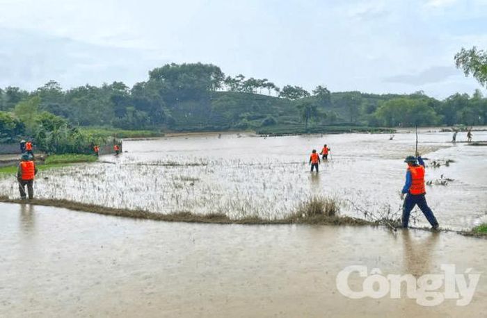 Hơn 240 người, gồm cán bộ, chiến sĩ và người dân tham gia tìm kiếm cháu bé mất tích do đuối nước tại xã Phú Đình.