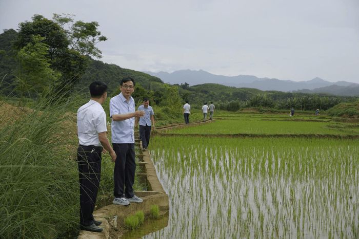 Đoàn công tác của Bộ Dân tộc và Tôn giáo kiểm tra thực địa tại xã Thanh Phong