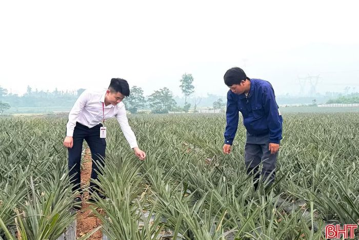 Tăng trưởng tín dụng tăng mạnh, đáp ứng nhu cầu vốn cho sản xuất, kinh doanh.