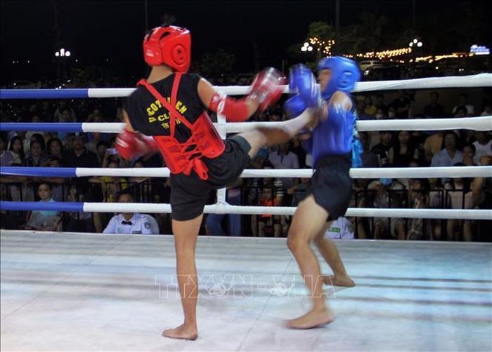 Các võ sĩ thi đấu tại giải.