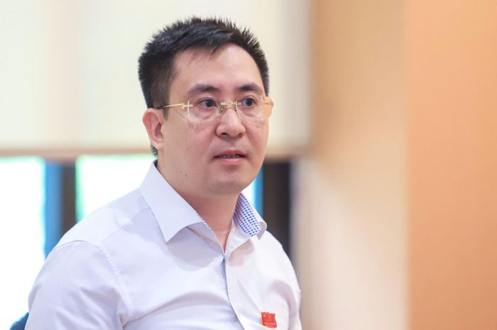 Phó trưởng ban Kinh tế - Ngân sách HĐND TP Hà Nội Vũ Ngọc Anh.