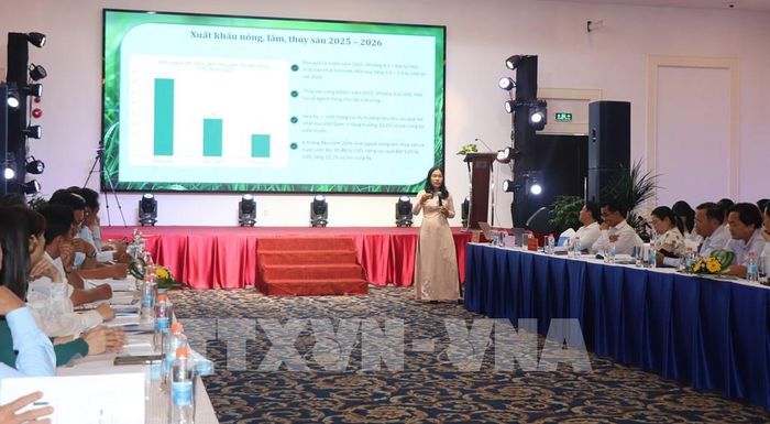 Bà Nguyễn Thị Thương Linh, Phó Giám đốc Liên đoàn Thương mại và Công nghiệp Việt Nam chi nhánh Đồng bằng sông Cửu Long thông tin về nhu cầu ứng dụng công nghệ trong nâng cao năng lực nông sản vùng. Ảnh: Thu Hiền - TTXVN