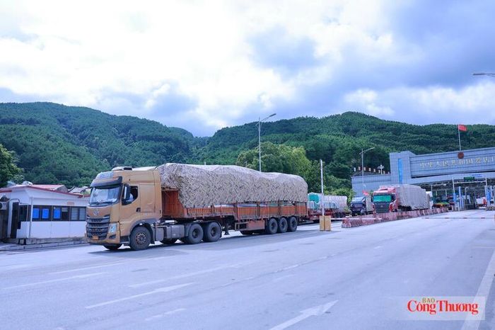 Chi Ma đang từng bước góp phần giảm áp lực cho các cửa khẩu truyền thống trong hoạt động xuất nhập khẩu.