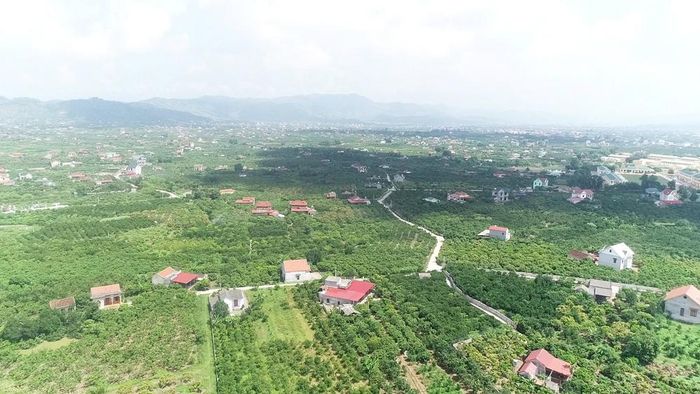  Quy hoạch phát triển nông thôn hài hòa với đô thị trong quá trình đô thị hóa. 