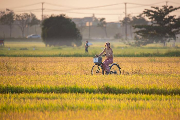 Không gian làng quê bình yên tại "vùng đệm di sản" Hội An. Ảnh :PHAN VŨ TRỌNG