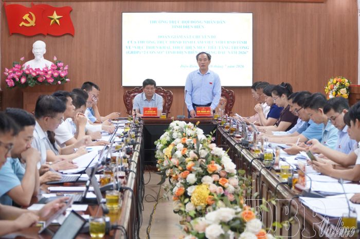 Đồng chí Bùi Minh Hải, Tỉnh ủy viên, Phó Chủ tịch HĐND tỉnh phát biểu tại buổi làm việc.