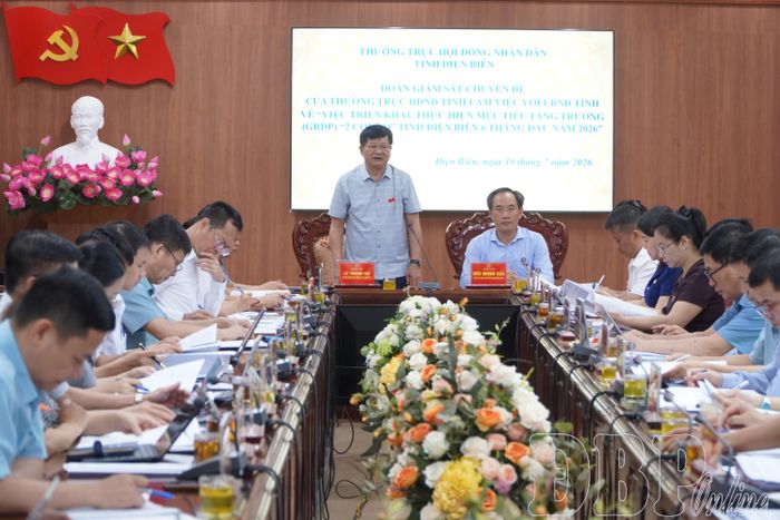 Phó Bí thư Thường trực Tỉnh ủy, Chủ tịch HĐND tỉnh Lê Thành Đô phát biểu tại buổi làm việc.