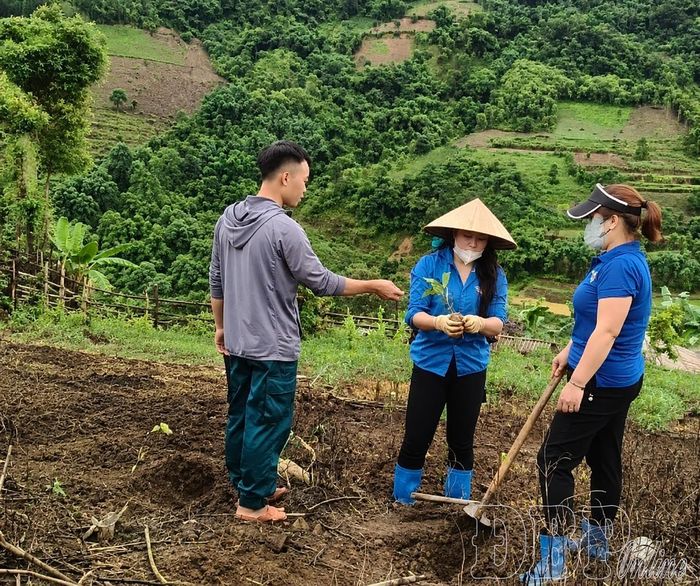 Người dân, đoàn viên, thanh niên tham gia trồng cây cà phê, mắc ca.