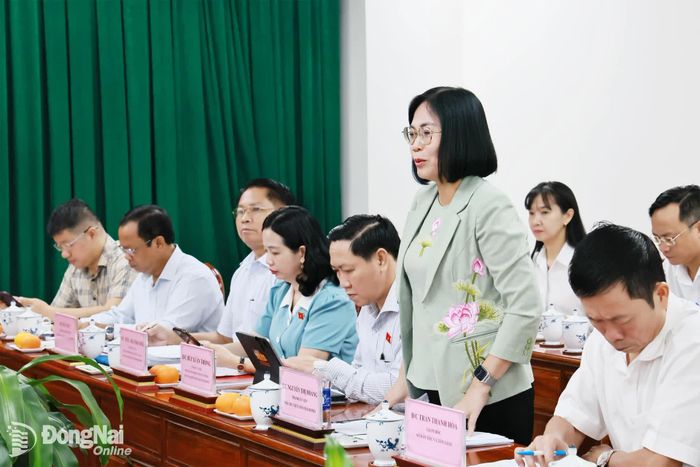 Thành ủy viên, Phó Chủ tịch UBND thành phố Nguyễn Thị Hoàng phát biểu tại buổi làm việc. Ảnh: Công Nghĩa