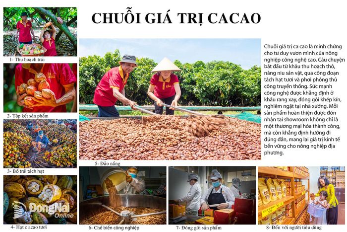 Tác phẩm Chuỗi giá trị ca cao của tác giả Lò Văn Hợp đoạt giải khuyến khích. Ảnh: BTC