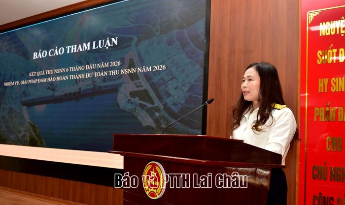 Đại biểu tham luận tại hội nghị.
