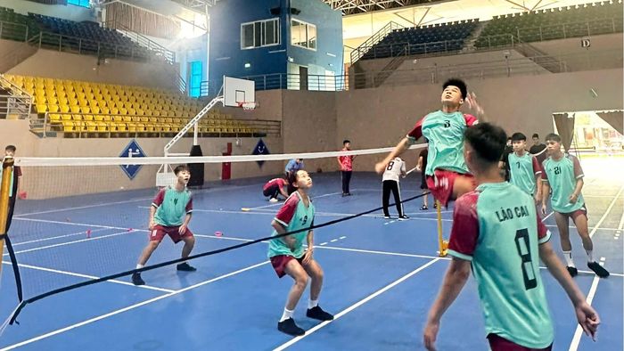 Các vận động viên tích cực luyện tập.
