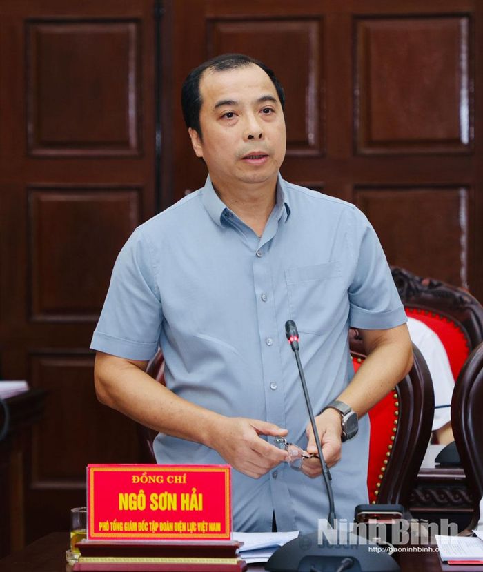 Đồng chí Ngô Sơn Hải, Phó Tổng giám đốc Tập đoàn Điện lực Việt Nam phát biểu tại buổi làm việc.