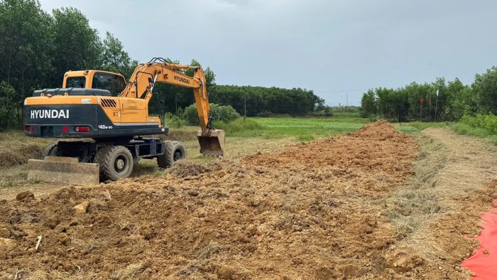 Vị trí dò tìm mộ liệt sĩ tại khu vực Câu Nhi - Ảnh: M.T