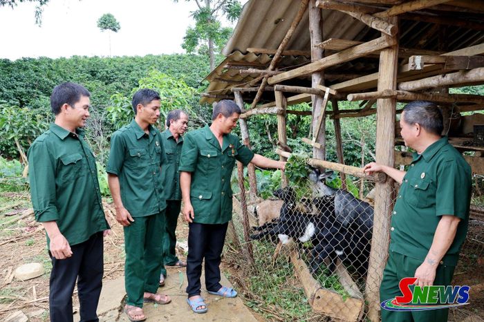 Các hội viên Hội Cựu chiến binh xã Mường Chanh tham quan mô hình nuôi dê nhốt chuồng.